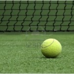 Cỏ nhân tạo sân vườn giá mắc hay rẻ?