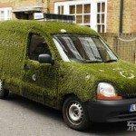 Cỏ nhân tạo Trang trí Noel – giáng sinh