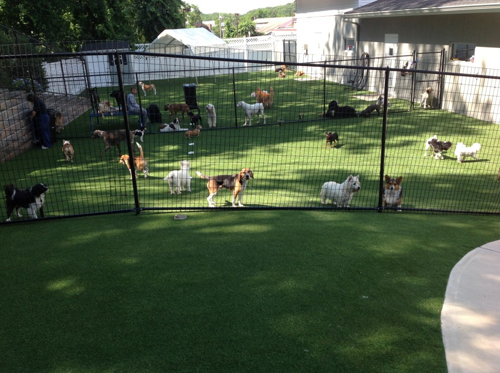 conhantaosanvuon-vat nuoi_0003