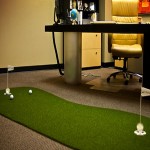 Sân chơi tuyệt vời cho thú cưng – vật nuôi