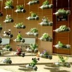 Tránh các sai lầm dẫn tới làm hỏng cả một khu vườn