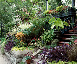 thiet-ke-loi-di-dep-1