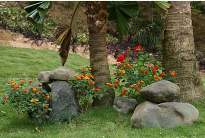 thiet-ke-san-vuon-dep-1