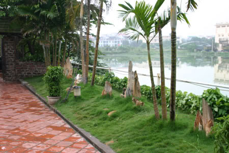 thiet-ke-san-vuon-dep-6