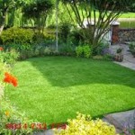 Kiến trúc xanh cỏ nhân tạo ở nhà hàng