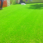 VÌ SAO NÊN SỬ DỤNG CỎ NHÂN TẠO SÂN VƯỜN?