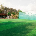 CỎ NHÂN TẠO CÓ ĐỘC HẠI KHÔNG?