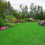 CỎ NHÂN TẠO – SẢN PHẨM ĐA NĂNG GIÁ RẺ