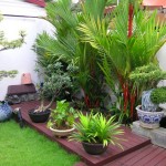 SÂN GOLF MINI TRONG NHÀ, TẠI SAO KHÔNG?