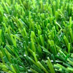 CÁC CÔNG TRÌNH CỎ NHÂN TẠO PHỔ BIẾN TẠI TPHCM HIỆN NAY