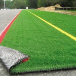 CỎ NHÂN TẠO TỪ SƠ KHAI ĐẾN THỜI HƯNG THỊNH