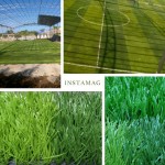 Những nguyên tắc chọn mua thảm cỏ nhân tạo sân Golf