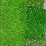 Đừng Sử Dụng Cỏ Nhân Tạo Nếu Bạn Chưa Biết Thông Tin Này