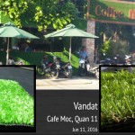 Thảm Cỏ Nhân Tạo Có Những Điểm Vượt Trội Gì?