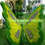 KHI SỬ DỤNG CỎ NHÂN TẠO THƯỜNG GẶP NHỮNG SỰ CỐ GÌ?