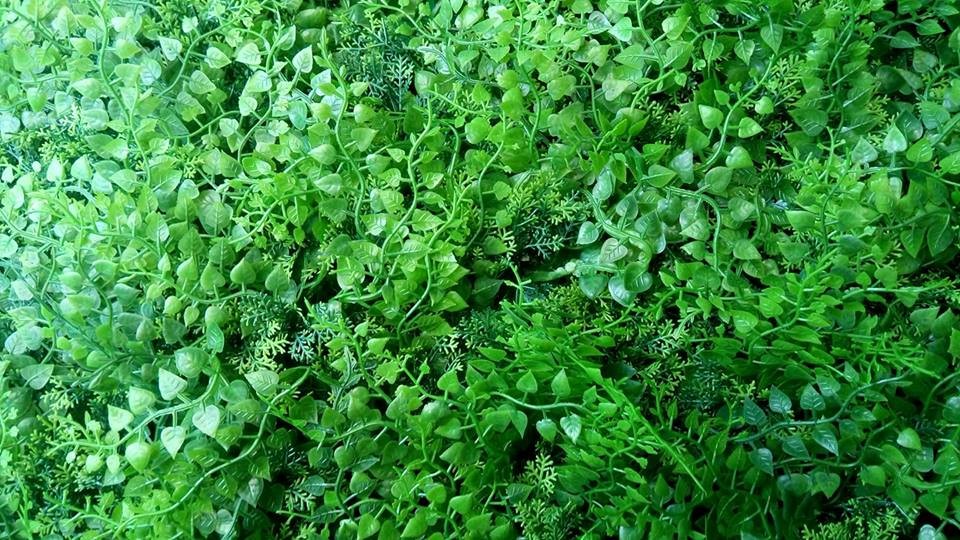 Cỏ nhân tạo lá dùng trong trang trí tường
