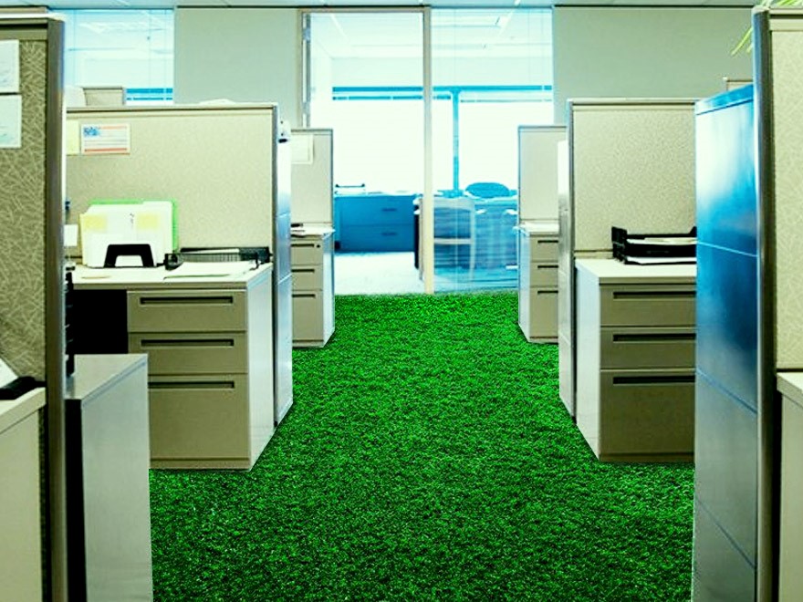 Cỏ nhân tao rất dễ dọn dẹp, không được ở dơ ảnh hưởng đến giá trị thẩm mỹ