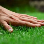 Làm thế nào để tăng tuổi thọ cho sân bóng cỏ nhân tạo