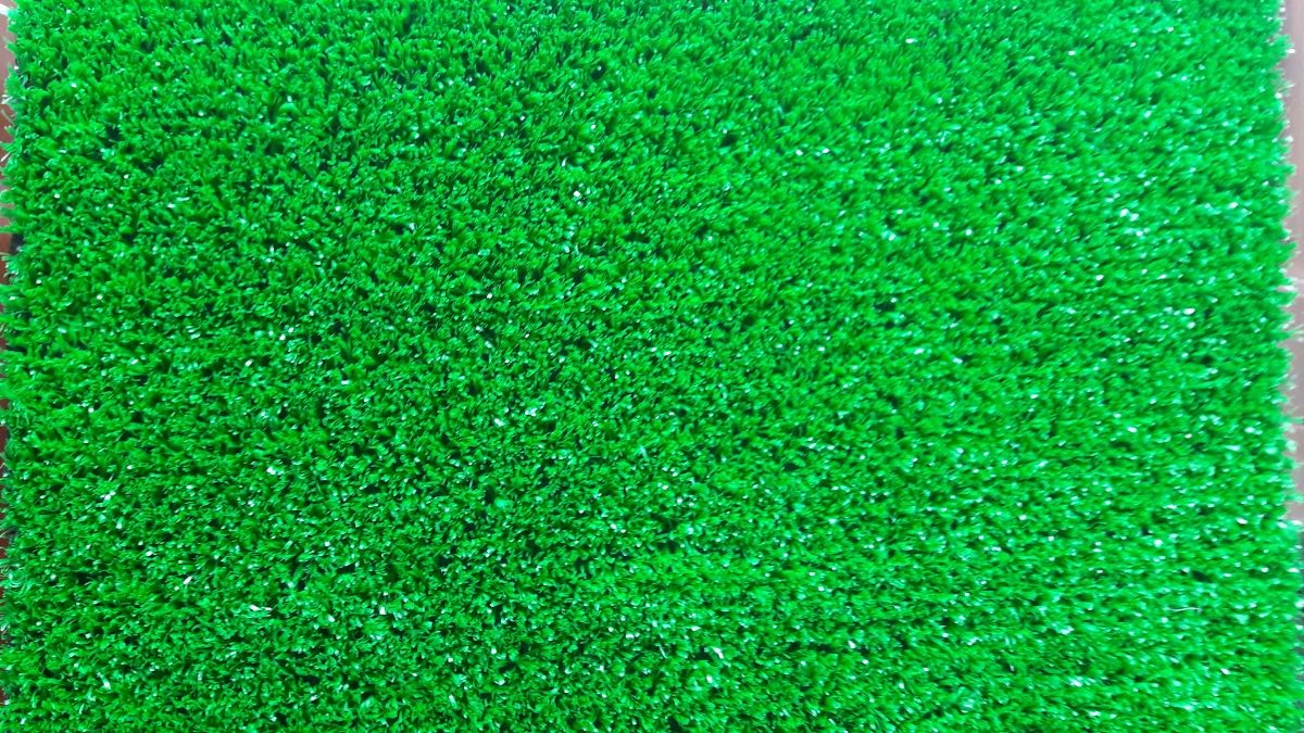 Nên chọn loại cỏ phù hợp từ chất lượng đến màu sắc