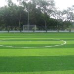 Cần bảo dưỡng mặt sân bóng cỏ nhân tạo khi nào?