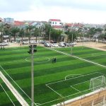 Cỏ nhân tạo cho sân mini thì nên chọn lại nào ?