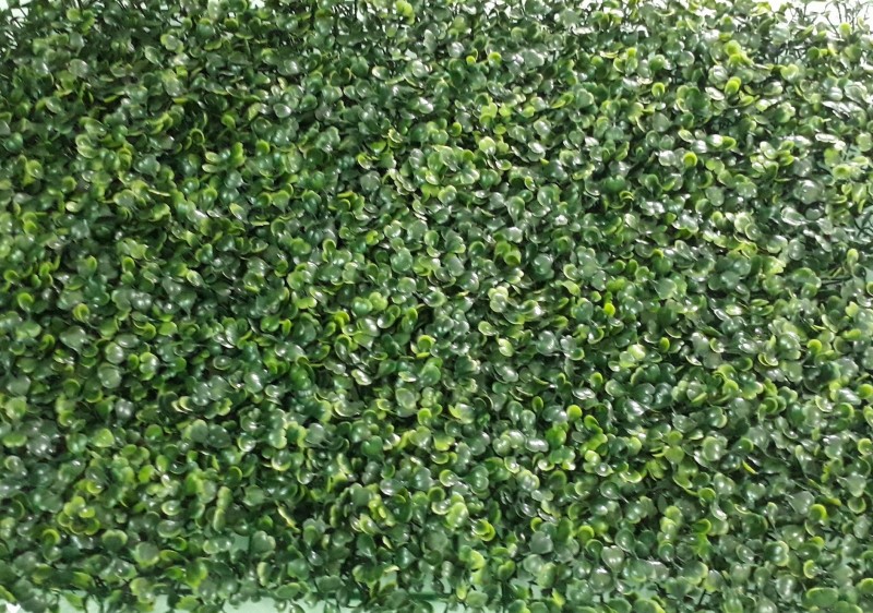 Tấm cỏ nhựa treo tường rất đặc biệt