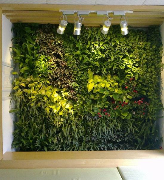 Cần xác định thông số kỹ thuật của cỏ nhân tạo trước khi quyết định mua