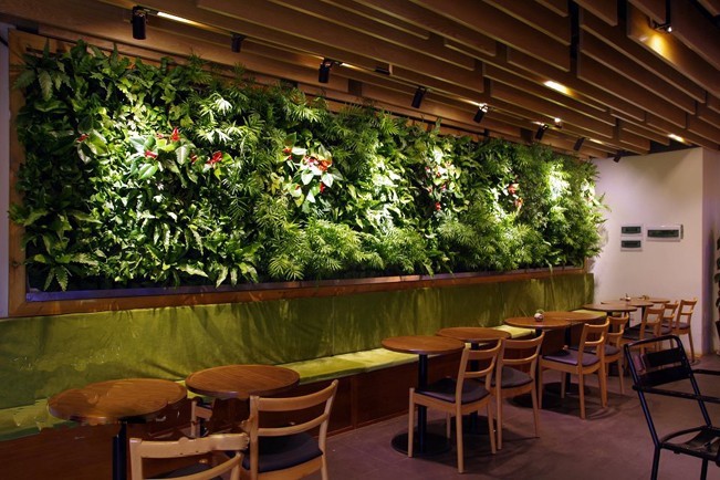 Cỏ nhân tạo là một lựa chọn lý tưởng trong trang trí tường