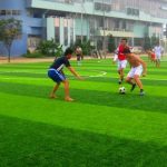 Đặc điểm giúp cây giả treo tường trở thành xu hướng