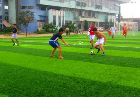 Cỏ nhân tạo sân bóng đá được sử dụng phổ biến nhất hiện nay