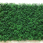 Những ý tưởng trang trí tường bằng cỏ nhân tạo