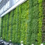 Không gian trở nên tươi sáng nhờ tường cây giả