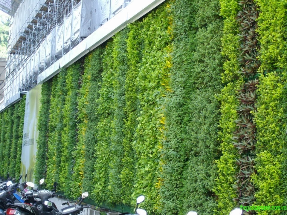 Trang trí ban công với tường cây giả hiện nay đang được ưa chuộng