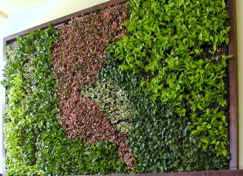 Tường cây giả không cần phải chăm sóc quá cầu kì như đối với cây xanh thật