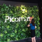 Quá trình hình thành và phát triển cỏ nhựa nhân tạo