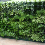 Cỏ nhân tạo trang trí nhà ở cho không gian thêm độc đáo