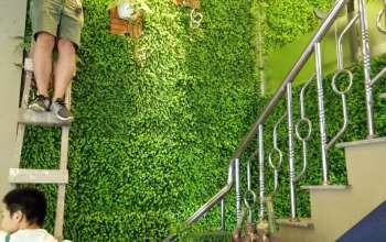 Cỏ nhân tạo có khá nhiều tiềm năng trong cuộc sống