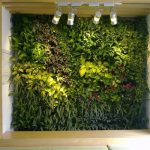 Vì sao nên sử dụng cỏ nhân tạo trong nhà tắm?