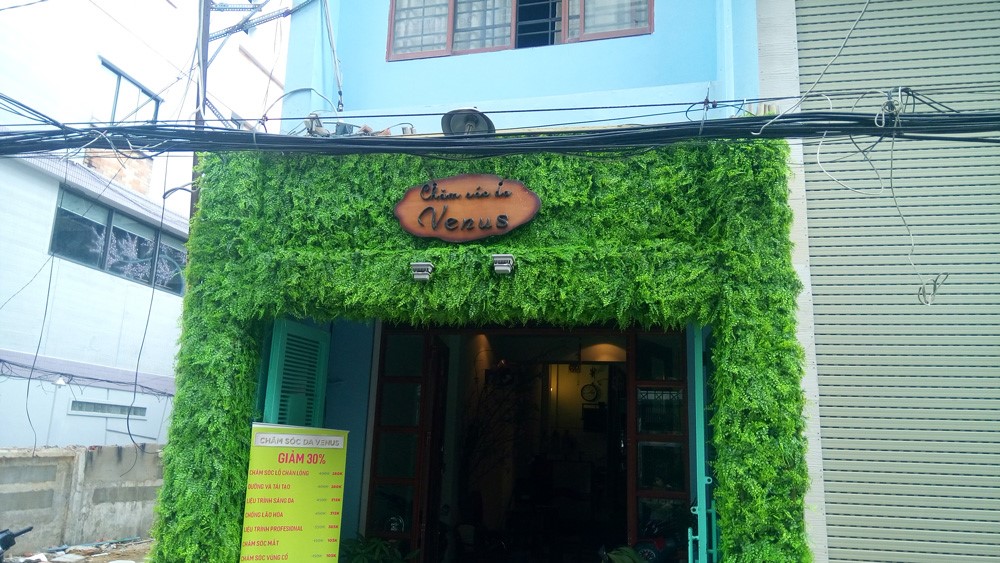 Cỏ nhân tạo trang trí tiểu cảnh