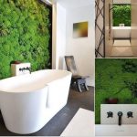 Khi mua cỏ trang trí vấn đề gì bạn nên quan tâm nhất?