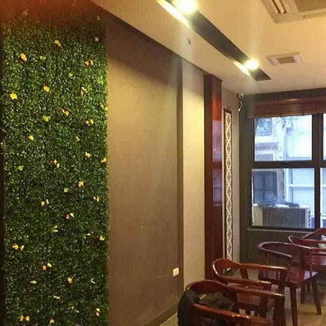 Hạn chế tác động mạnh lên cỏ trang trí dán tường giá rẻ