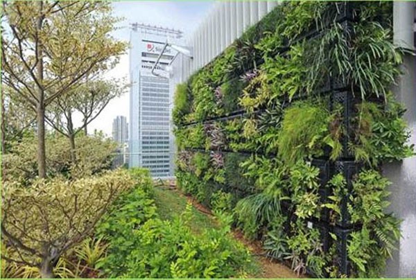 Mang sự thân thiện của mảng xanh vào nhà hàng