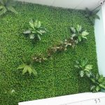 Vì sao lại sử dụng cỏ vỉ trang trí tường văn phòng