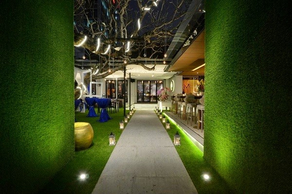 Tường cây giả phù hợp với mọi không gian