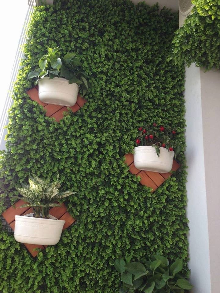 Tường cỏ nhân tạo đẹp cho không gian xanh và đẹp