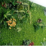 Tường cây giả trong nhà cho không gian sang trọng