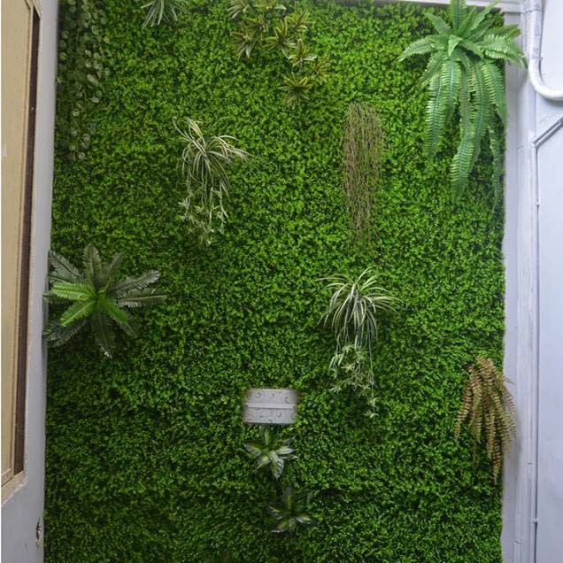 Tường cỏ nhân tạo trang trí khắp mọi nơi