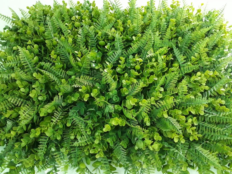 Các thông số kỹ thuật của cỏ Dương Xỉ nhân tạo giúp chúng ta lựa chọn được loại cỏ phù hợp