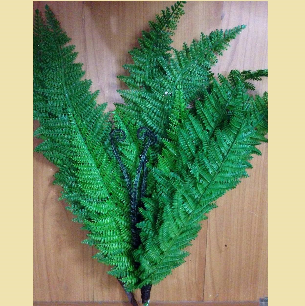 Cỏ dương xỉ nhân tạo có thể chống chịu được các tác nhân ngoại cảnh và bền hơn