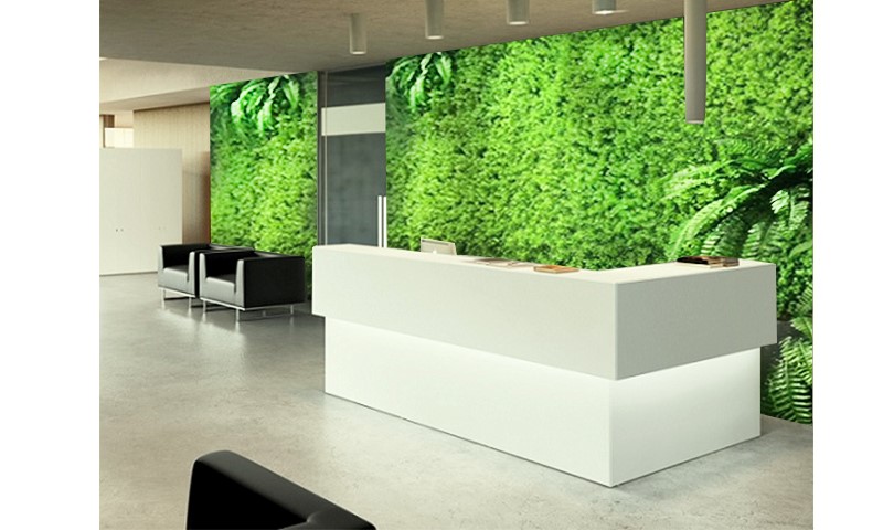 Cỏ Dương Xỉ nhân tạo ốp tường cho không gian ấn tượng